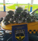 Passageiro de táxi é abordado e preso com R$ 96 mil em skunk que saiu da fronteira