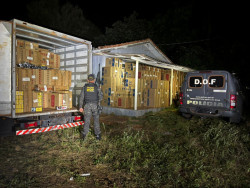 Polícia fecha entreposto, recupera caminhão roubado e apreende 70 mil pacotes de cigarro