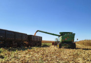 Valor Bruto da Produção cresce 26% em Mato Grosso do Sul