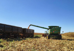 Valor Bruto da Produção cresce 26% em Mato Grosso do Sul