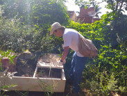 Saúde alerta sobre combate à dengue diante das chuvas constantes em Dourados