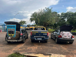 Carros são apreendidos com cigarros contrabandeados na BR-060