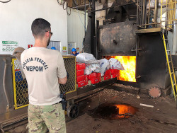 Cinco toneladas de drogas são incineradas em Naviraí