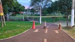 Abelhas atacam frequentadores do Parque Antenor Martins e mulher recebe atendimento