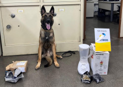 Polícia apreende 900 gramas de drogas que seriam enviadas pelos Correios