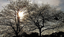 Setembro termina quente e seco e Outubro começa com chuva