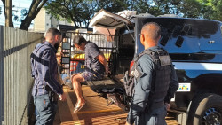 Em Dourados: caminhão de mudança levava maconha escondida até dentro de televisão