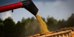 Produção de grãos na safra 2025/26 está estimada em 354,4 milhões de toneladas