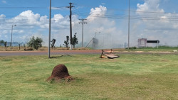 Indígenas voltam à rodovia, ameçam incendiar veículos e polícia reage com gás e balas de borracha