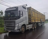 Polícia desarticula quadrilha furtando frangos vivos de carreta na Capital