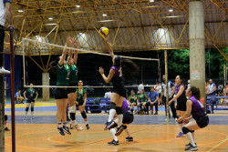 Funed realiza 6 mil atendimentos ao longo de 2025 em Dourados