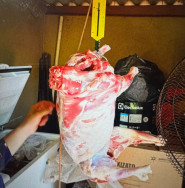 Autor de furto de carneiros em fazenda é preso pela Polícia Civil em MS