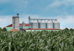 Investimento agrícola cresce 26% em Mato Grosso do Sul em 2025