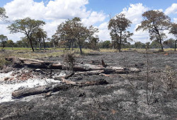 Mulher é multada em quase R$ 20 mil por incêndio
