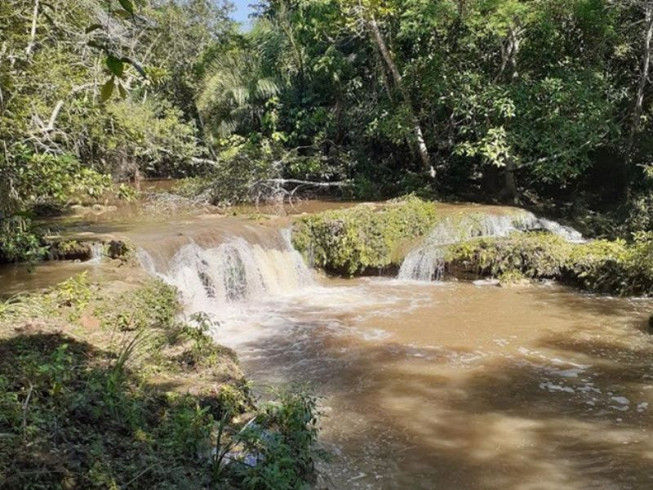 Propriedade rural é alvo de investigação por crime ambiental em santuário ecológico de MS