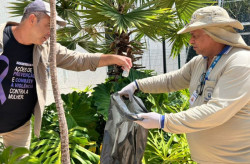 Saúde registra 8.430 casos confirmados de dengue em MS na penúltima semana do ano