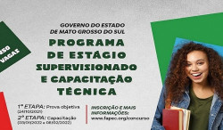 Inscrições para 250 vagas de estágios no Governo do Estado terminam hoje