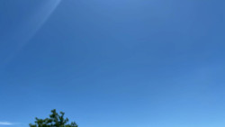 Com máxima de 31ºC, domingo será de sol predominando em Dourados