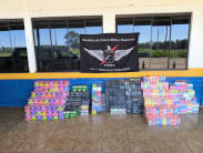 Polícia apreende cigarros eletrônicos e medicamentos contrabandeados na MS-164