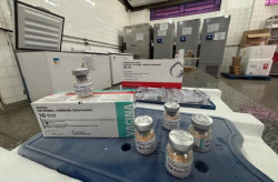 MS intensificou vacinação em 2025 e manteve vigilância ativa contra o sarampo