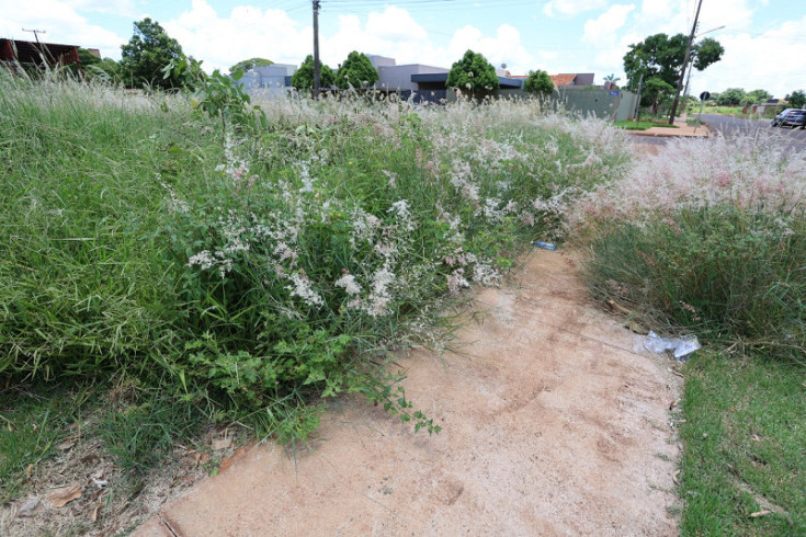 Donos de terrenos baldios recebem notificação para limpeza e roçada em Dourados