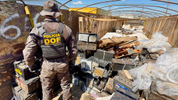 DOF apreende carga milionária de droga que seria levada para SP em carcaças de baterias