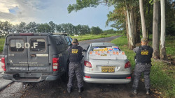 Casal é preso pelo DOF com celulares e medicamentos para emagrecer na MS-164