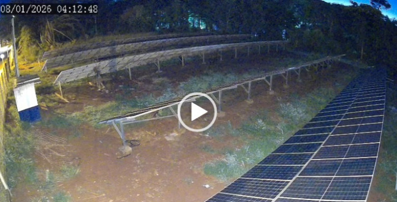 Polícia prende ladrão que furtou fios de energia e causou prejuízo de R$ 250 mil em Dourados