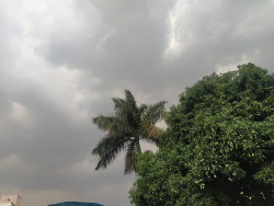 Previsão de chuva e temperatura amena para esta sexta-feira em Dourados