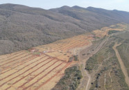 Dados apontam redução histórica no desmatamento do Pantanal em 2025