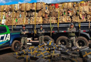 Irmãos são presos com 1,7 tonelada de maconha em carreta de recicláveis