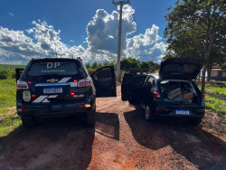 Após denúncia, polícia aborda carro em rodovia e encontra quase 400 quilos de maconha