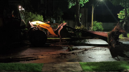 Árvore atinge motociclista durante temporal e mulher sofre descarga elétrica em Dourados