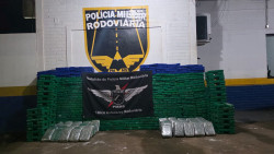 Apreensão de carga de droga gera prejuízo de R$ 2,3 milhões ao tráfico