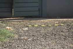 Genro mata sogro asfixiado após briga familiar em bairro de Campo Grande