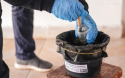 Saúde alinha estratégias com municípios e reforça controle do Aedes aegypti