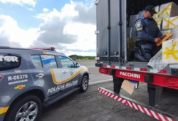 Polícia paulista prende caminhoneiro com 1 tonelada de maconha que saiu de MS
