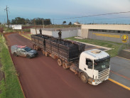 Irmãos são presos em Maracaju com 200 pneus de caminhão que seriam entregues em MT