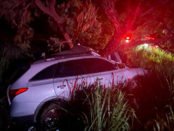 Cigarreiro douradense morre após atropelar javali e bater em árvore na BR-267