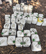 Ambiental autua empresa por armazenamento irregular de embalagens de agrotóxicos