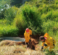 Encontrado em cova rasa, homem foi assassinado após suposto furto de caixa de som