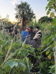 Acusado de estupro e furtos em série em Caarapó é preso em ação conjunta