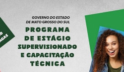Seguem abertas as inscrições para 250 vagas de estágio no Governo do Estado