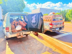 Homens são presos em flagrante por furto de gado e com 225 quilos de carne