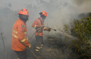 MS mobiliza Corpo de Bombeiros no combate a focos de incêndios no Pantanal
