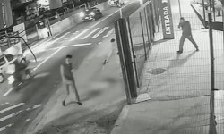 Cachorro é morto com dez tiros em frente a ponto de ônibus em SP