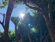 Sabadão de tempo firme, sol brilhando forte e máxima de 32ºC em Dourados