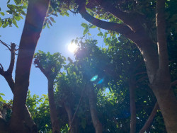 Sabadão de tempo firme, sol brilhando forte e máxima de 32ºC em Dourados