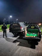 Jovem é preso com carga de maconha avaliada em R$ 250 mil na região de fronteira