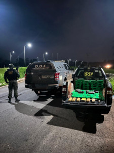 Jovem é preso com carga de maconha avaliada em R$ 250 mil na região de fronteira